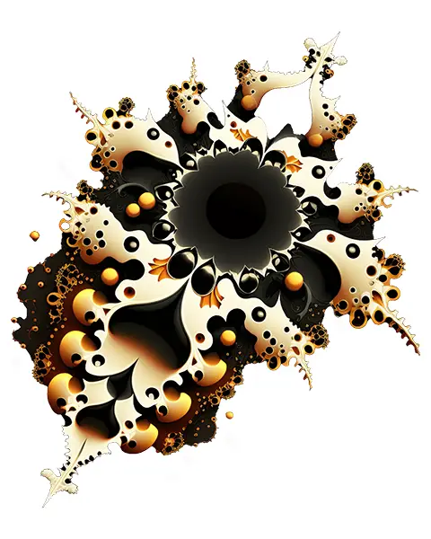 Tricou barbati Fractal Face